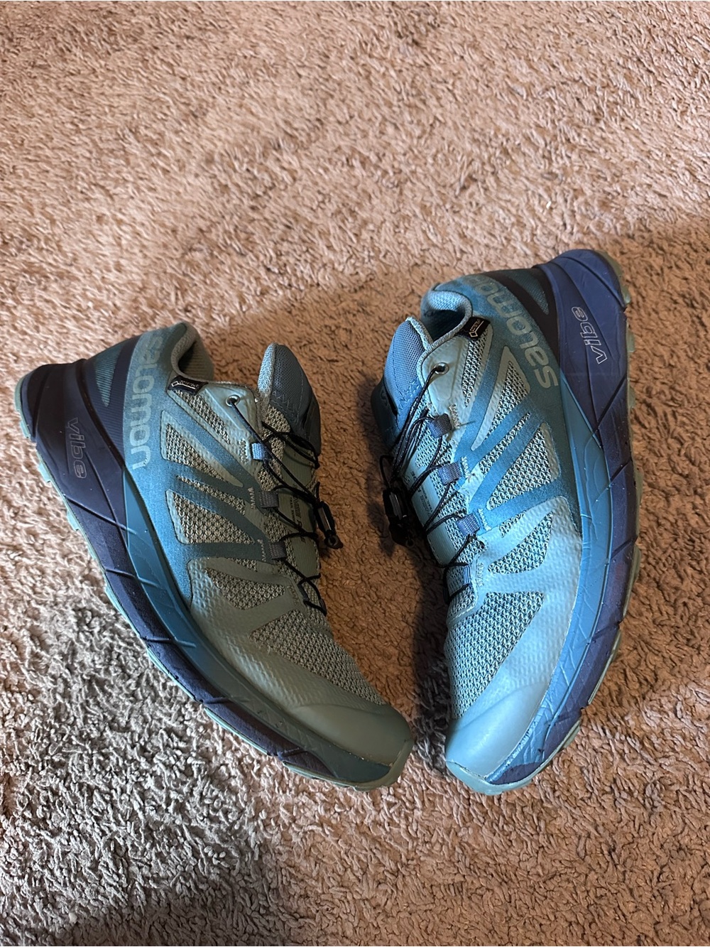 Tenis Salomon Sense Ride Gore-Tex (Talla 10.5 US / 43 ⅓ EU / 9 UK)